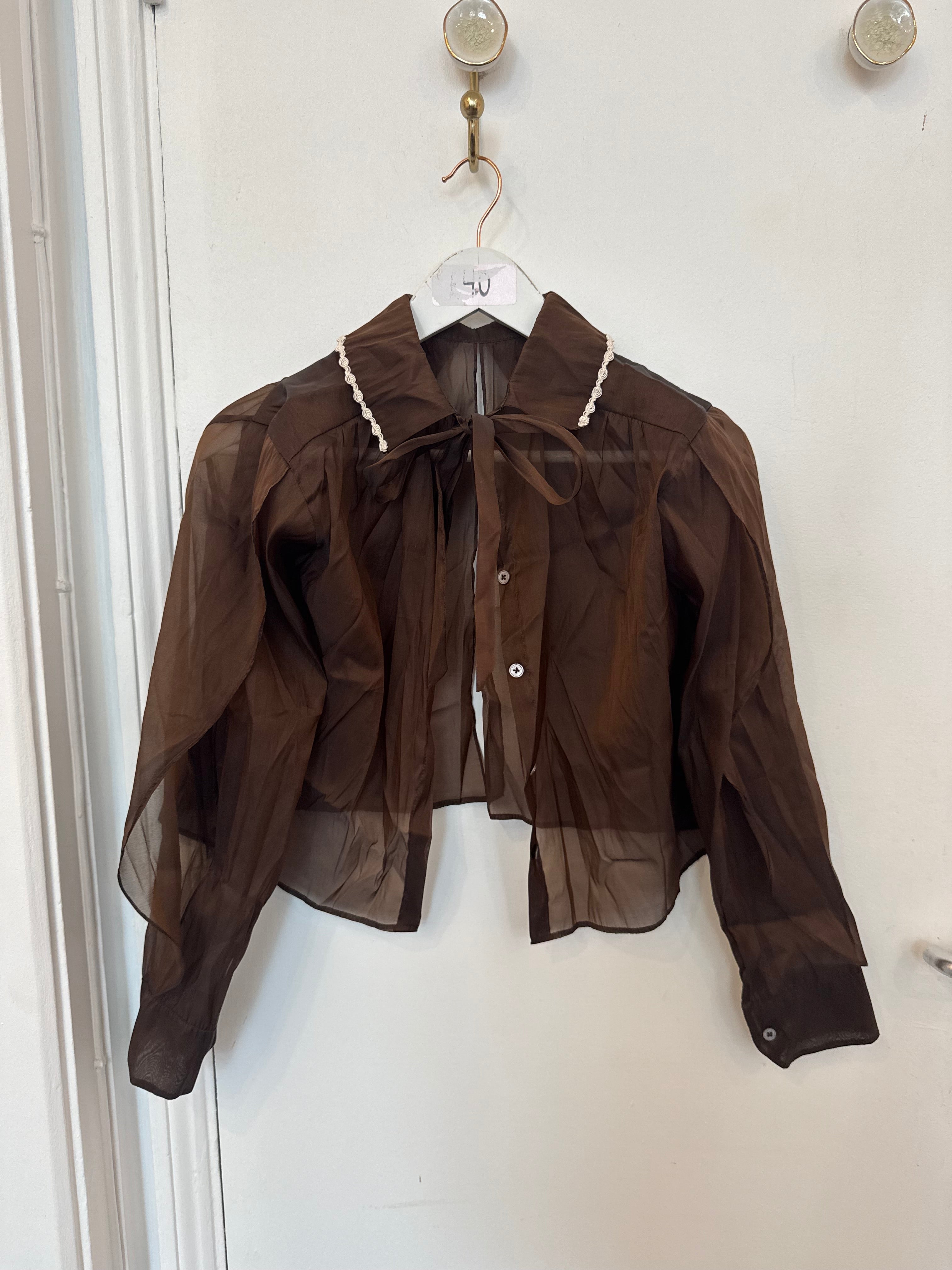 Brown Organza Pure Silk Top