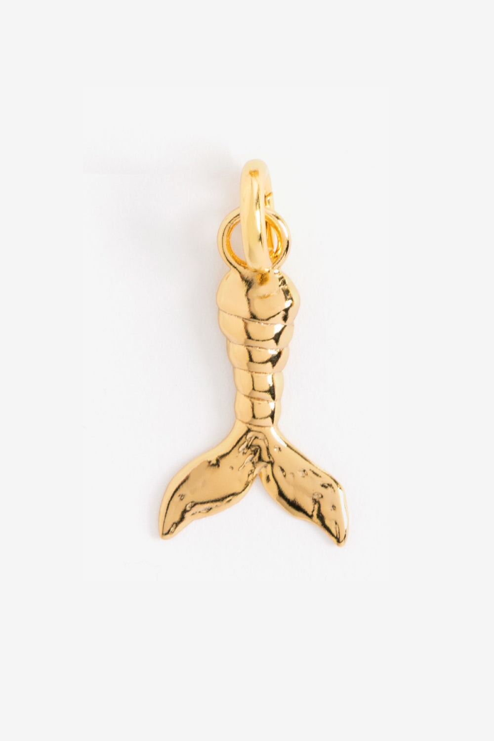 Capricorn Pendant