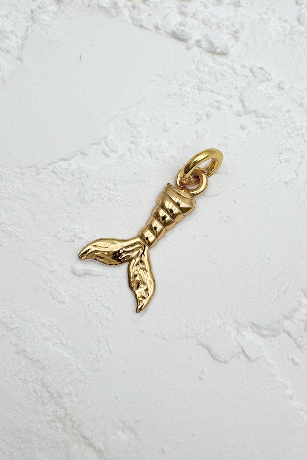 Capricorn Star Sign Charm