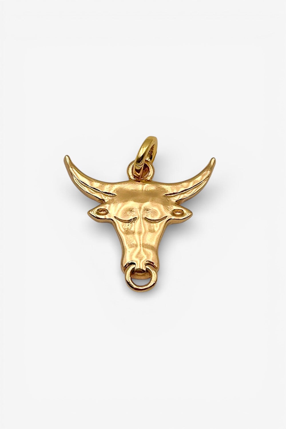 Taurus Pendant