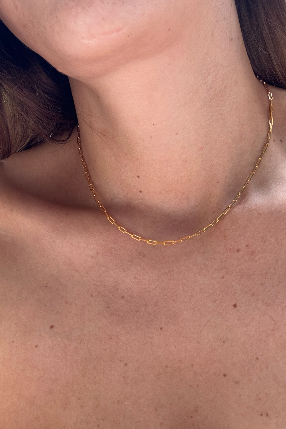 Pendant Chain in Gold