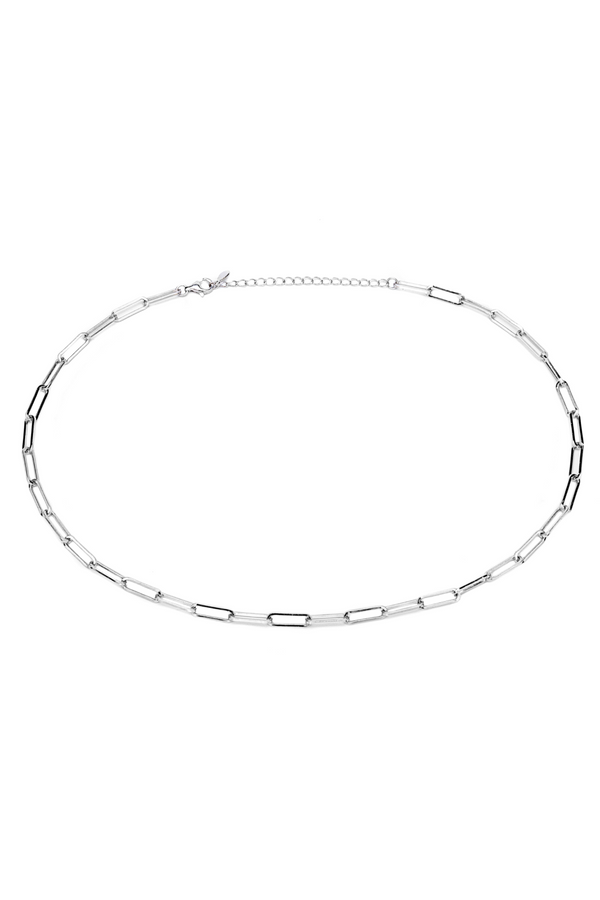 Silver Link Chain Necklace - Tea & Tequila
