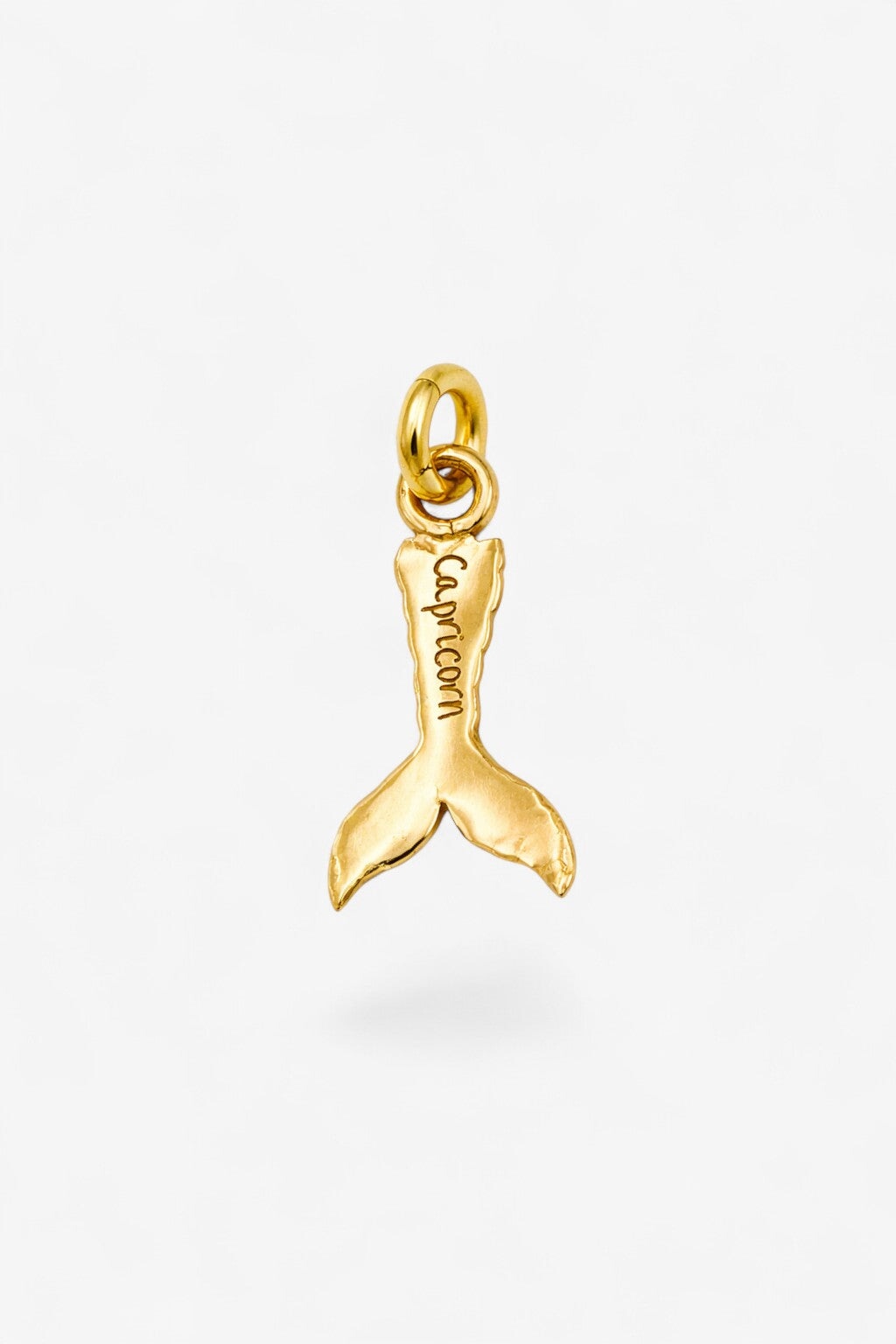 Capricorn Pendant
