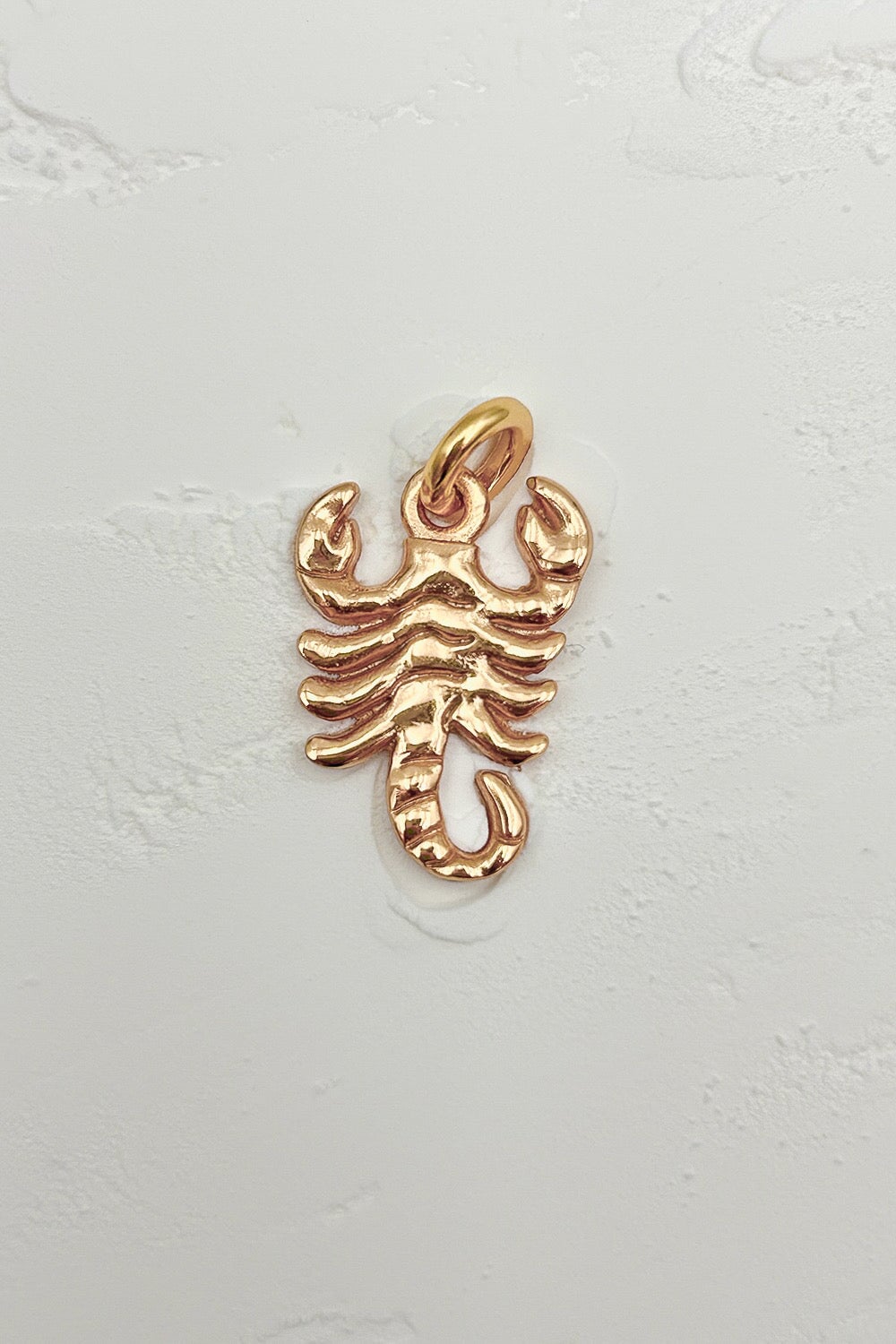 Scorpio Star Sign Charm