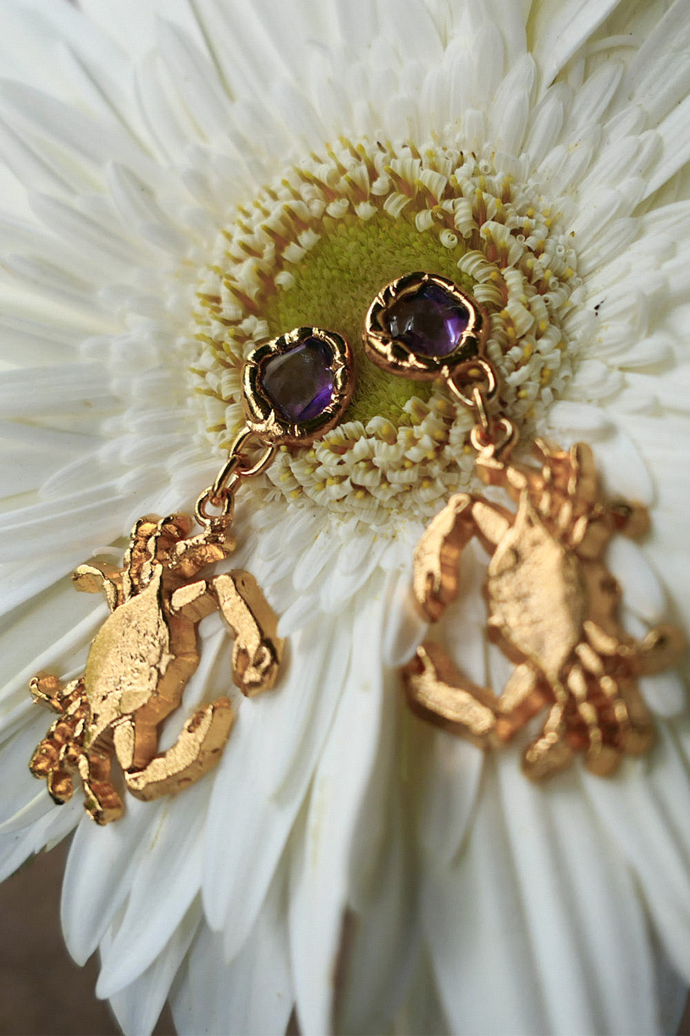 Amethyst Crab Earrings in Gold