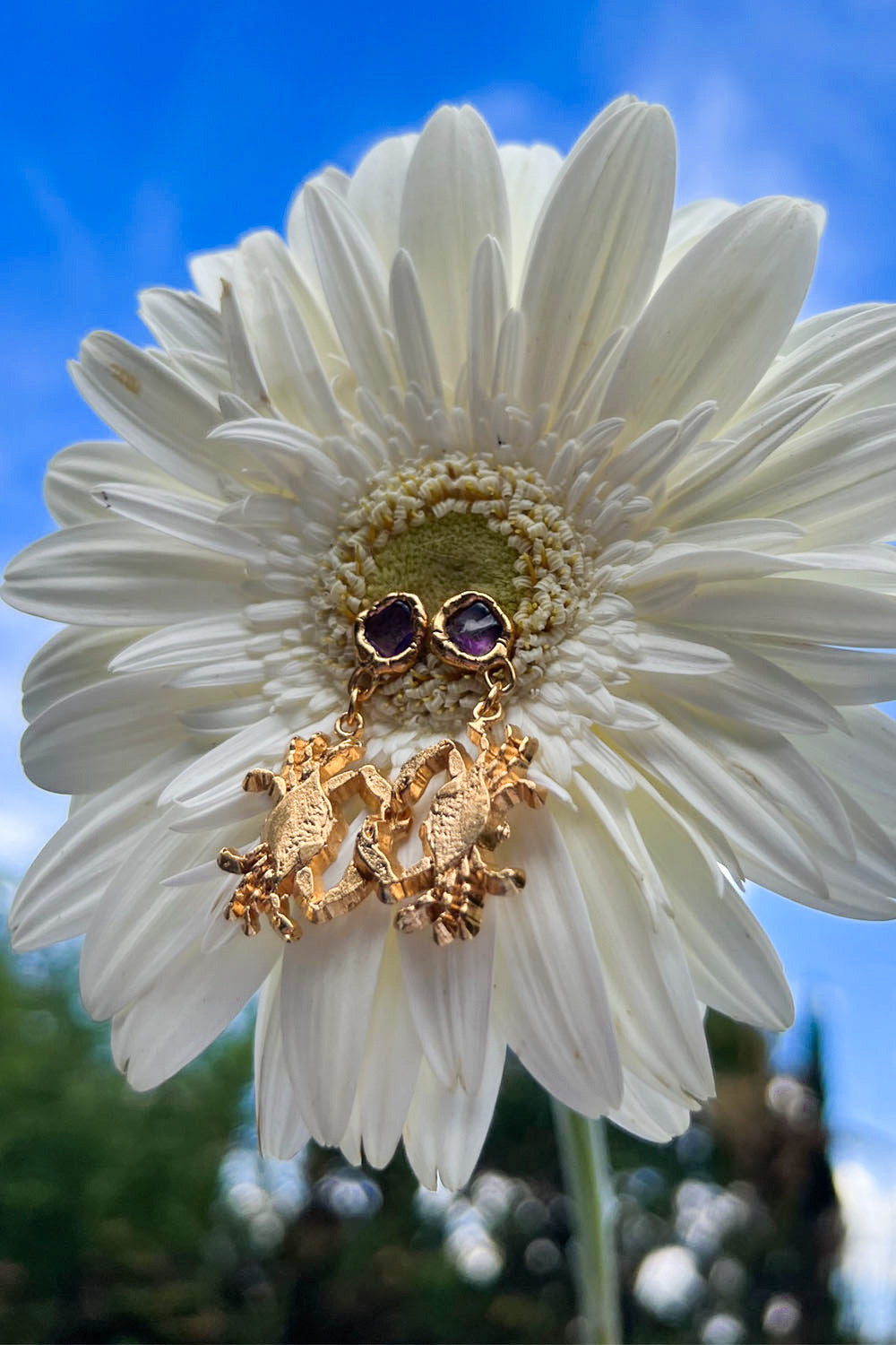 Amethyst Crab Earrings in Gold